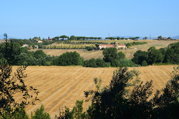 Lazio - panorama sulla Maremma Laziale