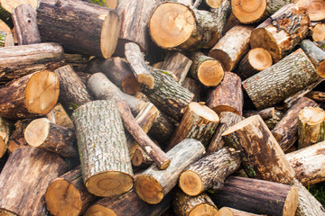 Woodpile of chopped lumber. Pile of wood logs. Stacked firewood timber