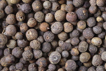 Allspice, jamaica pepper,  top view