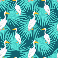 Pink pelican. Onocrotalus. Palm tree tropical seamless pattern.