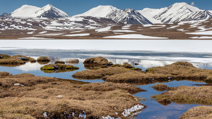 Barskoon (Arabel) Syrts at Issyk Kul Region