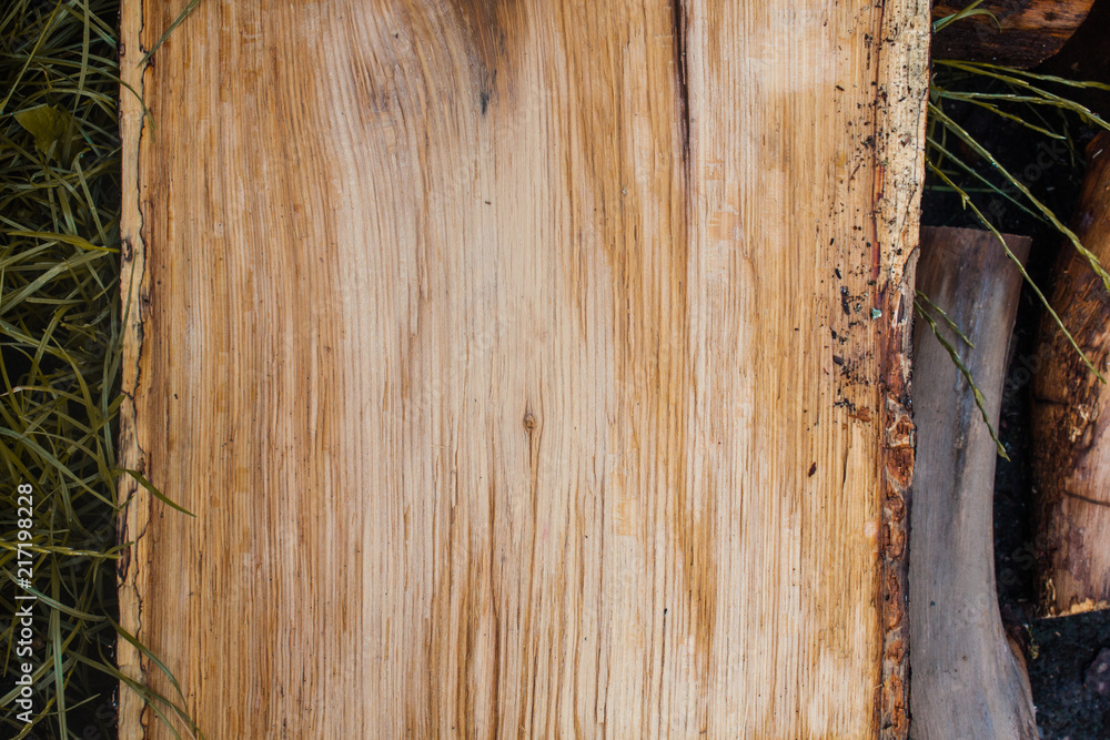 Wall mural wood texture background, wooden bark close up. grunge textured image