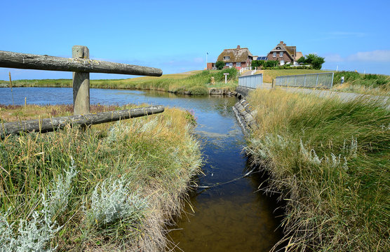 Westerwarft, Hallig, Hooge