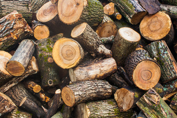 Woodpile of chopped lumber. Pile of wood logs. Stacked firewood timber