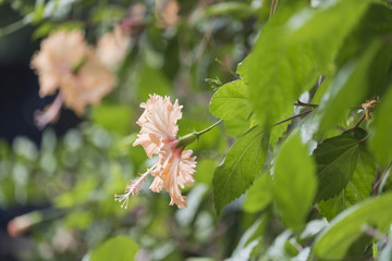 birds @ nature from haifa city