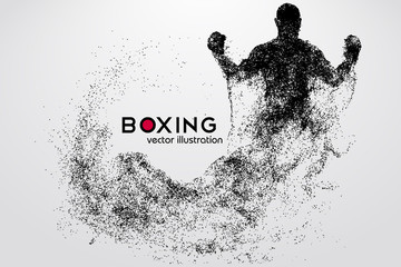 Fototapeta premium Boxing silhouette. Boxing. Vector illustration