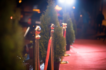 Red carpet entrance