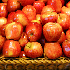 Crop of apples. Many typical ripe apples in a plastic box.