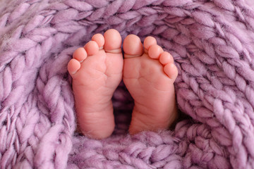 Newborn baby feet