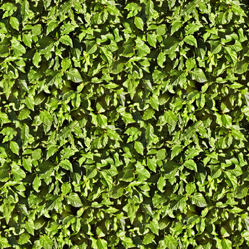 Seamless tileable leaves texture/background.