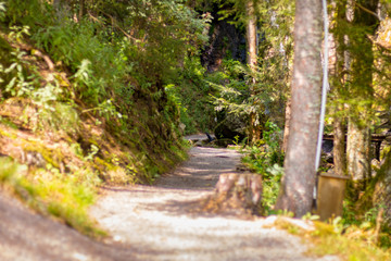 MENZENSCHWAND, GERMANY - JULY 23 2018: Waterfall in the German village Menzenschwand on a beautiful sunny summer day