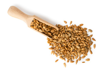 Sunflower seeds scattered with a wooden spoon on a white. The view from the top.