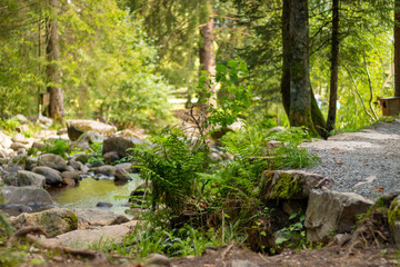 MENZENSCHWAND, GERMANY - JULY 23 2018: Waterfall in the German village Menzenschwand on a beautiful sunny summer day