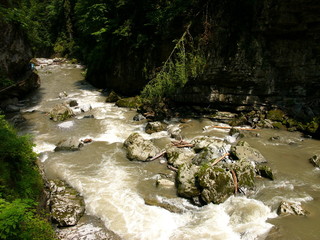 Gebirgsbach mit schroffem Felsgestein im dichten Wald in der Breitachklamm im Sommer bei...