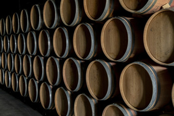 Porto Wine barrels