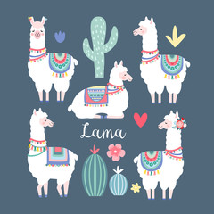 Lama alpaca or guanaco graphic elements. Isolated vector objects, flat design