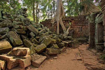 Fototapeta na wymiar Ta Prohm Temple, Temples of Angkor, Cambodia