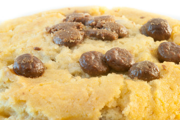 beautiful macro of chocolate cookies