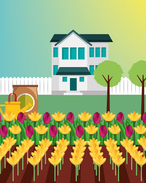 country house trees potting soil watering can and flowers garden vector illustration