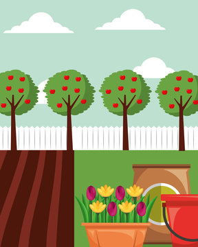gardening apple trees flowers in pot potting soil and bucket vector illustration