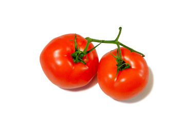 Two red tomatoes on the green branch