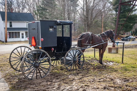 Amish Horse And Carriage