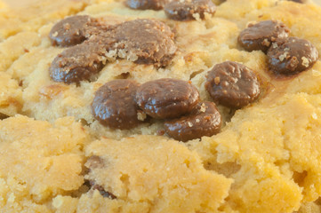 beautiful macro details of chocolate cookie