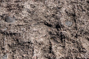 gray stone texture. background