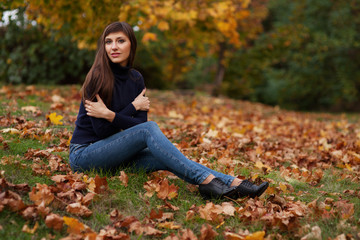 Portrait of beautiful cute young woman. Posing on golden autumn nature background. Fashion photo