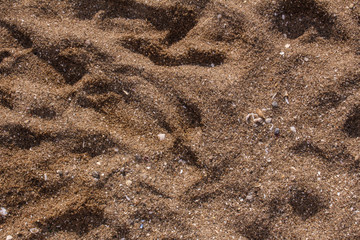 Sand Texture Close up