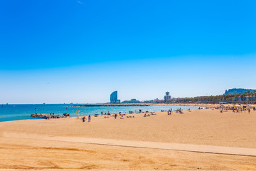 Barceloneta beach in Barcelona. Nice sand beach with palms. Sunny bright day with blue sky. Famous tourist destination in Catalonia, Spain