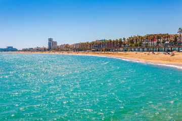 Fototapeta na wymiar Barceloneta beach in Barcelona. Nice sand beach with palms. Sunny bright day with blue sky. Famous tourist destination in Catalonia, Spain