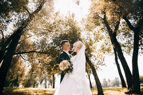 Portrait photo of a couple.Wedding photo.Young wedding couple fell in love at summer