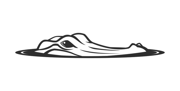 Alligator face emerging from water vector icon