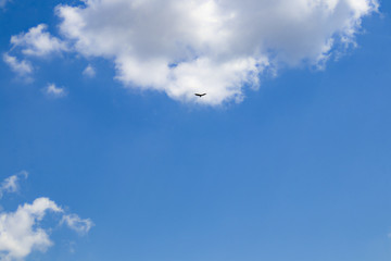 Very blue sky with fluffy clouds at top and right and big bird flying in front of one of them - good for background or copy