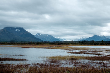 Swamps of Cordova.