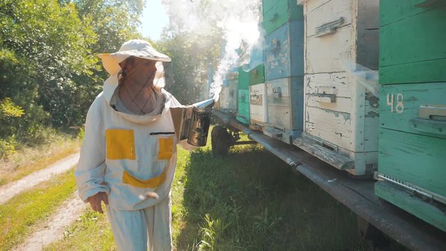 the beekeeper working in the apiary bees fly swarm multi colored beehive slow motion video. bee-maker beekeeper man working of a smoke pipe beeper wooden hives smoker device for lifestyle repelling