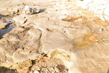 Sonnenaufgang am Strand Bearkiting für HDR erstellung