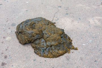 Fototapeta na wymiar Cow dung, manure lies on the asphalt background