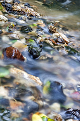 A stony streambed, a stream of clear water. Stream Repinka in the city of Obninsk, Russia
