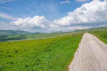 A winding narrow road leads through picturesque meadows and mountains.