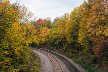 Fall color and railroad tracks in Remington, Baltimore, Maryland