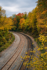 Fall color and railroad tracks in Remington, Baltimore, Maryland