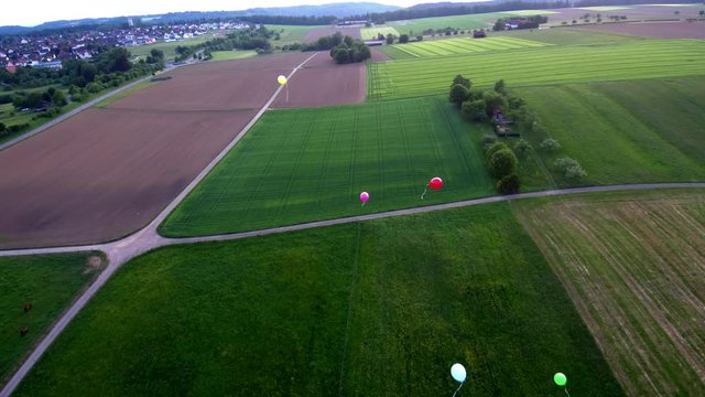 Balloons in the sky
