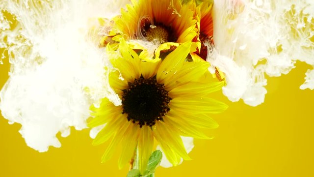 White drops of paint falling on a beautiful autumn bouquet.