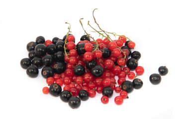 Red and black currants isolated on white background.