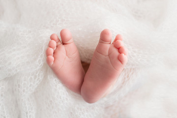 The steps of a newborn baby on a white background	