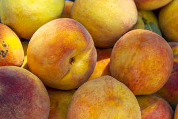 Fototapeta na wymiar Close-up detail shot of fresh field orange peach