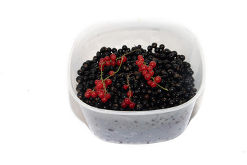 Red and black currants isolated on white background.