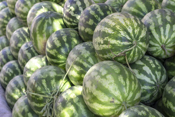 Perspective shot of green fresh watermelon at bazaar